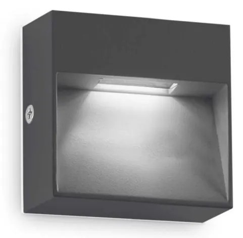 Aplica LED iluminat exterior ambiental IP65 Dedra ap big