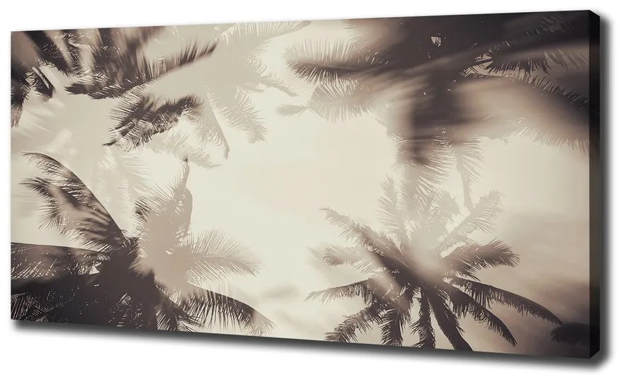 Imprimare tablou canvas Palmieri