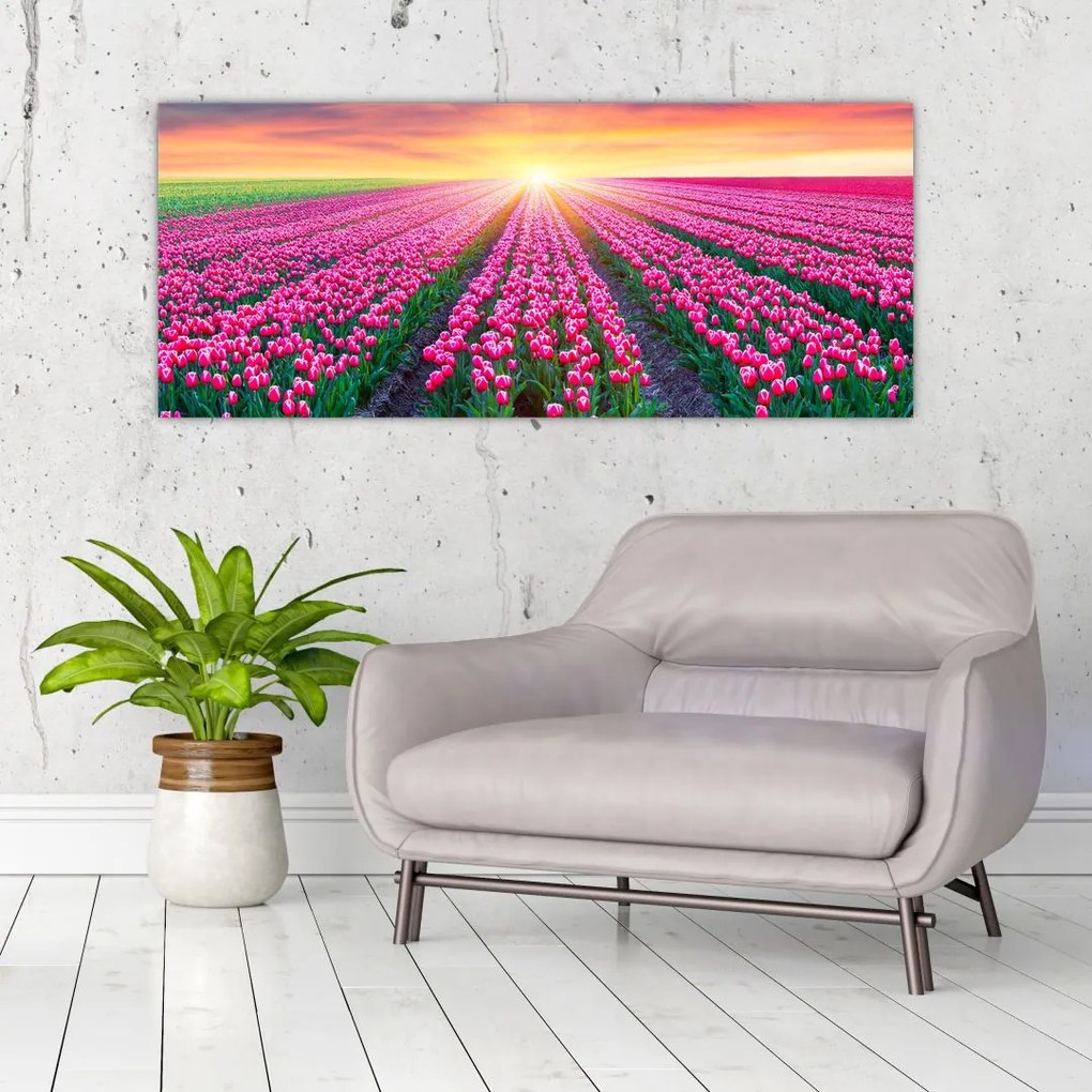 Tablou cu câmp de lalele cu soare (120x50 cm)