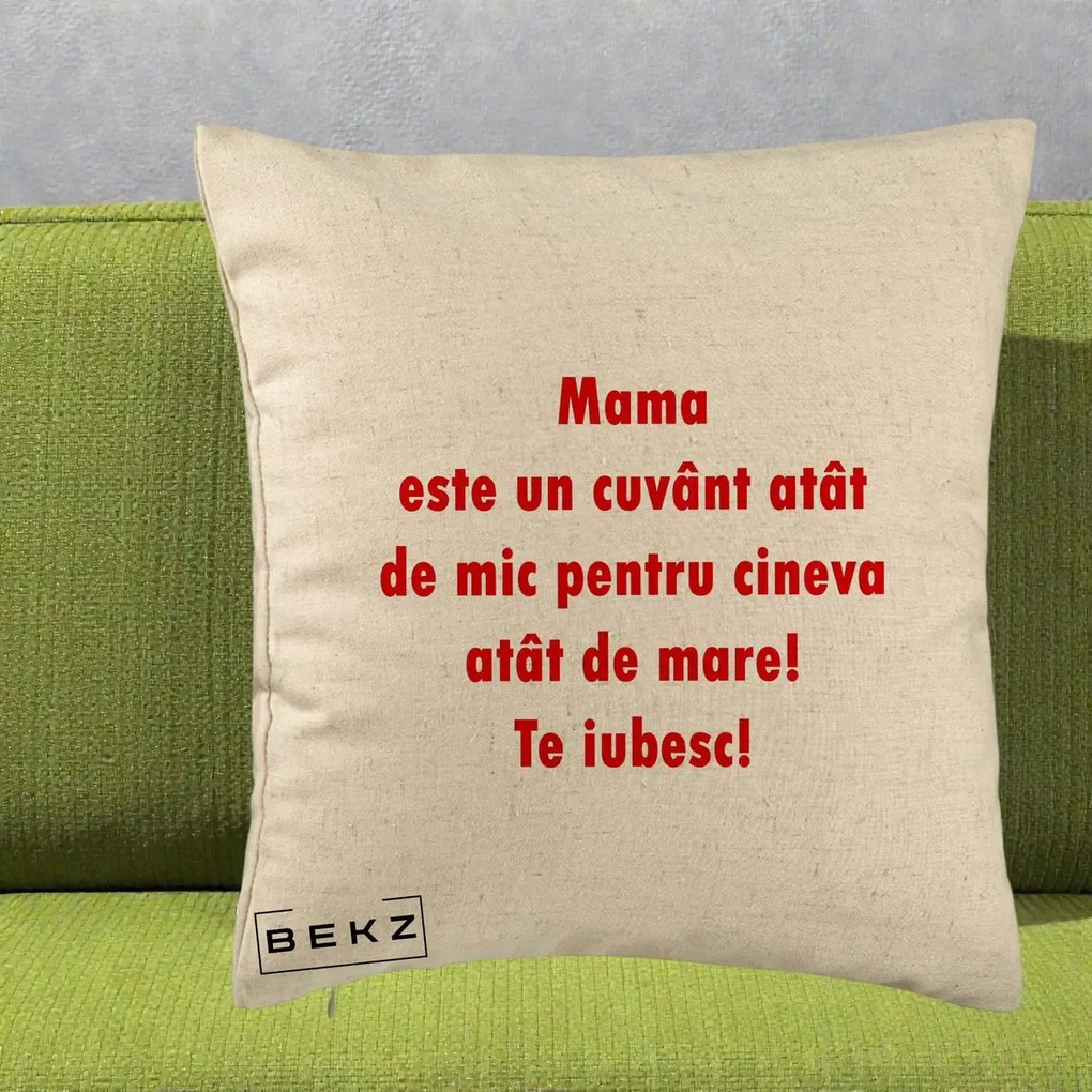 Cadou pentru Mama - Perna Personalizata Mama Cuvant Mic, 40x40 cm, Bej, Husa Detasabila, Perna Inclusa, BEKZ®