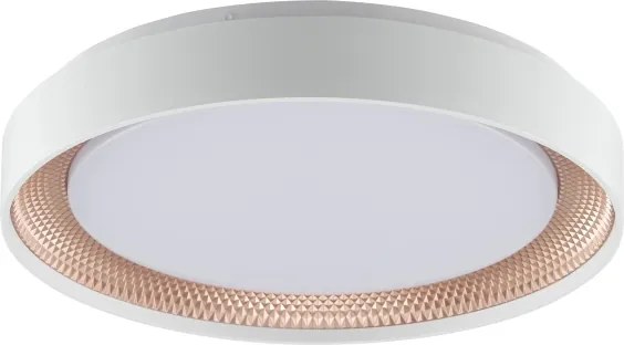 Brilliant - Plafonieră LED dimabilă WALDO LED/24W/230V alb/aur roz + telecomandă
