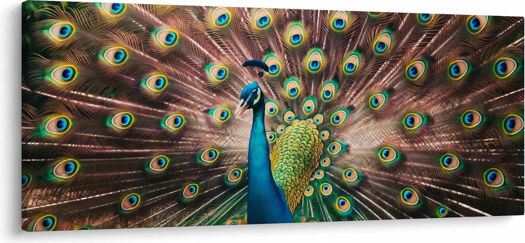Tablou - Păun (120x50 cm)