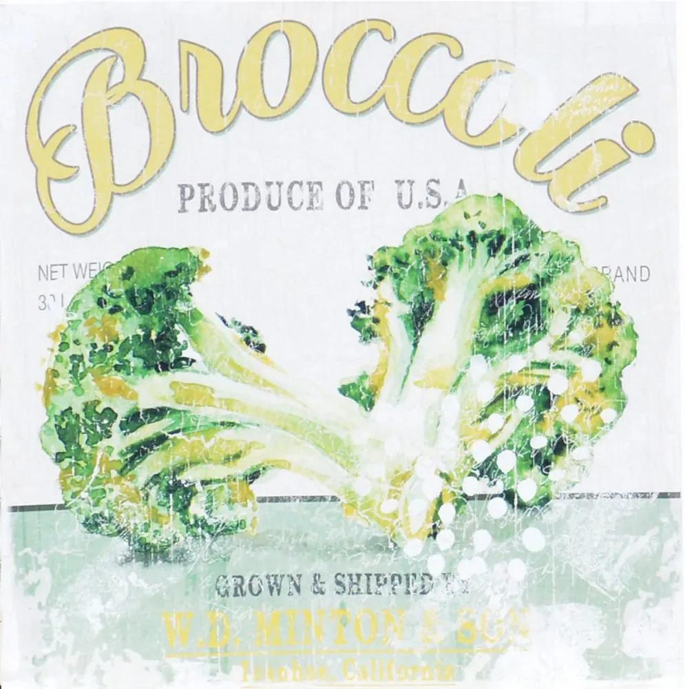 Falc Tablou pe pânză - Broccoli, 40x40 cm