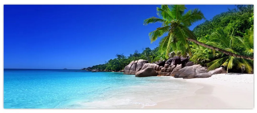 Tablou cu plaja pe insula Praslin (120x50 cm)
