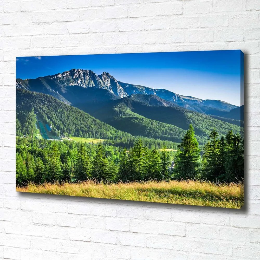 Imprimare tablou canvas Dealul din tatra