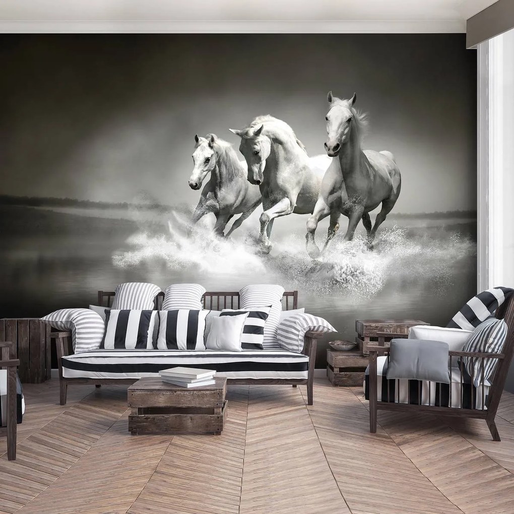 Fototapet - Caii (152,5x104 cm)
