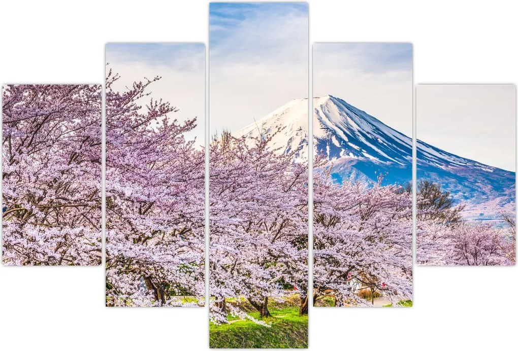 Tablou - Japonia în primăvară (150x105 cm)