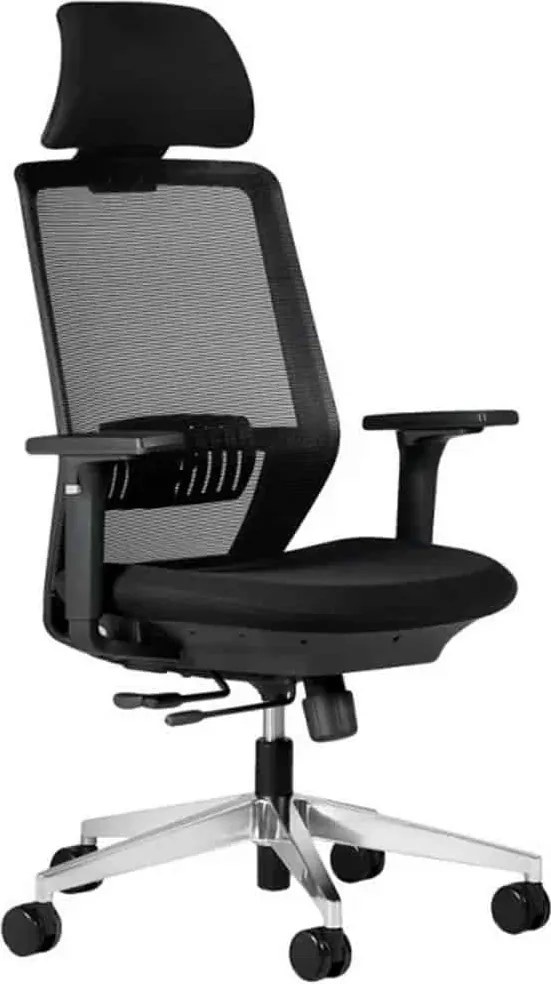 Scaun lemn masiv de birou ErgoDynamic Negru
