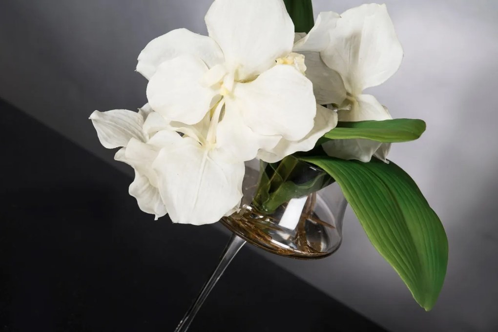 Aranjament floral ETERNITY STEM GLASS MINIMES VANDA