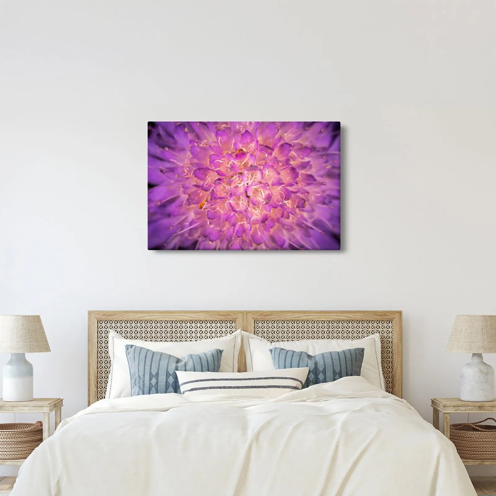 Tablou detailat cu floare (90x60 cm)