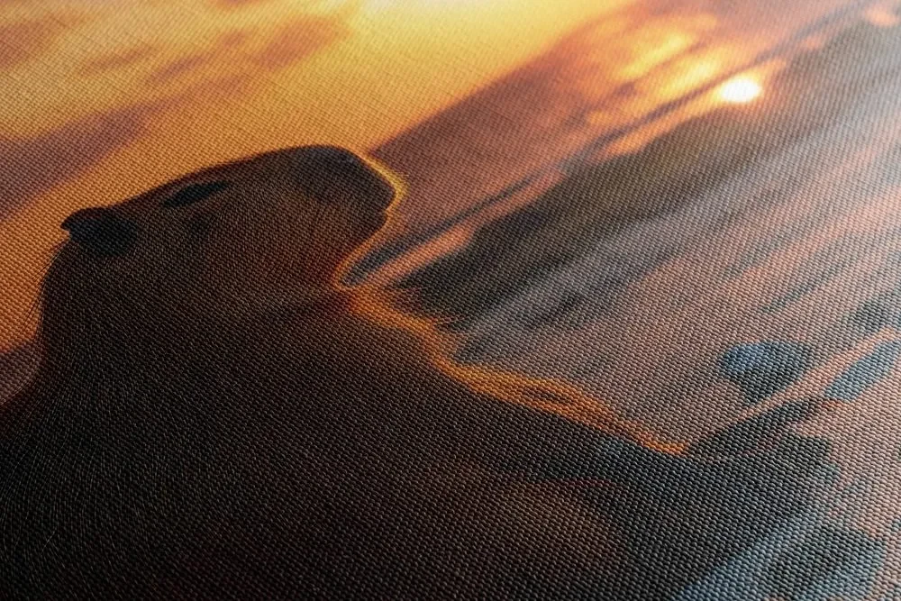 Tablou capybara la apus