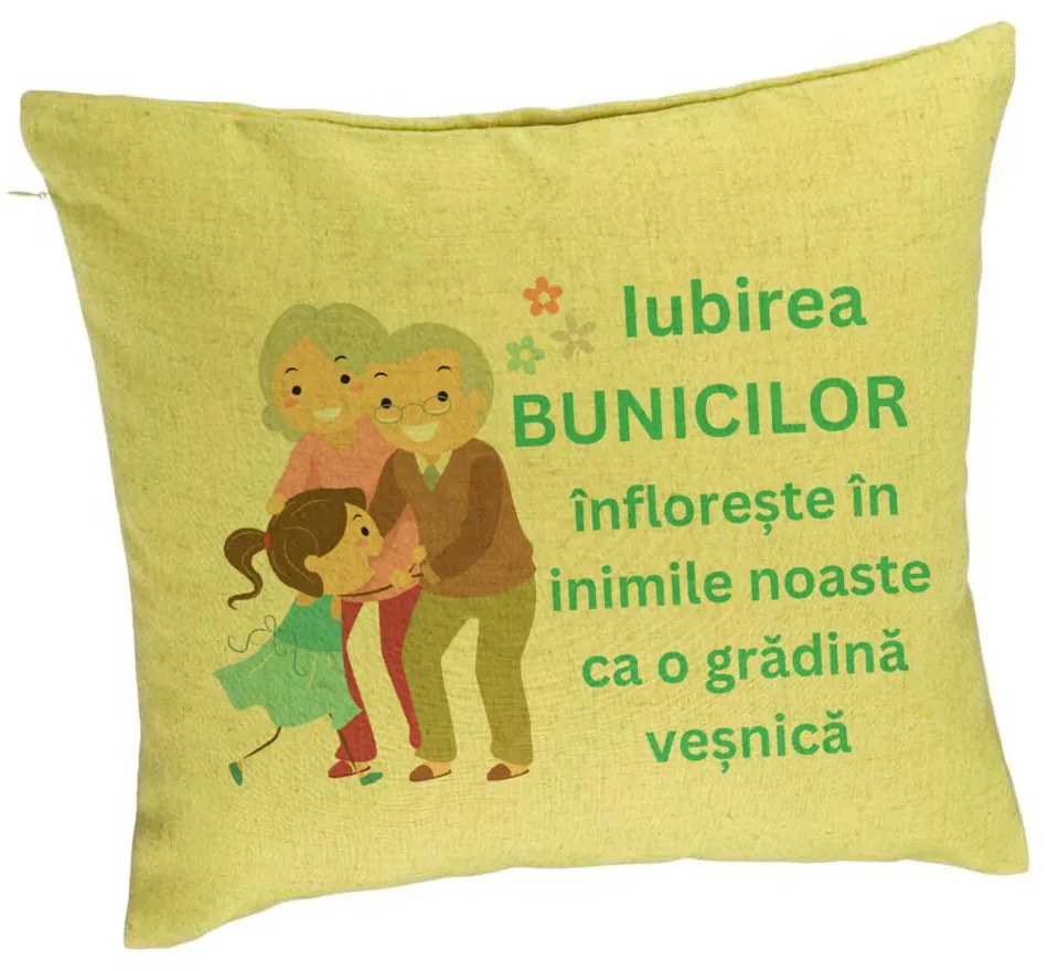 Perna Decorativa pentru Bunici 6, 40x40 cm, Verde, Husa Detasabila, Burduf