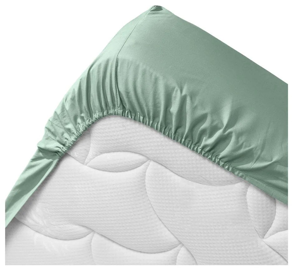 Cearceaf verde deschis din bumbac organic cu elastic 140x190 cm Biolina – douceur d'intérieur