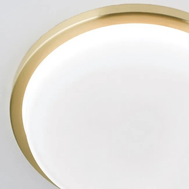 Plafoniera LED moderna LEROX 30cm alama mat