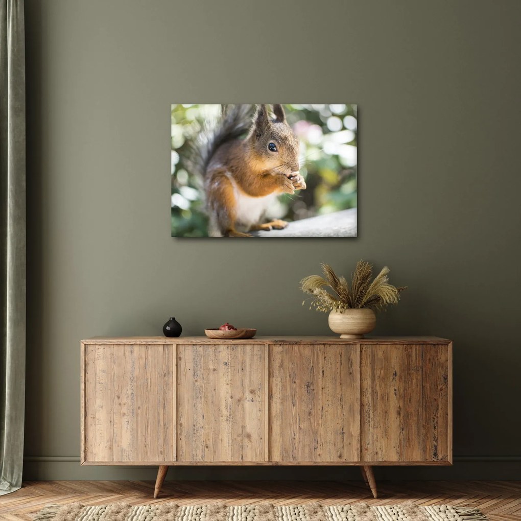 Tablou cu veverița (70x50 cm)