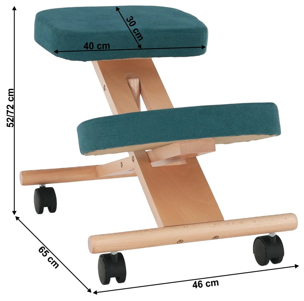 Scaun ergonomic, petrol  fag, FLONET