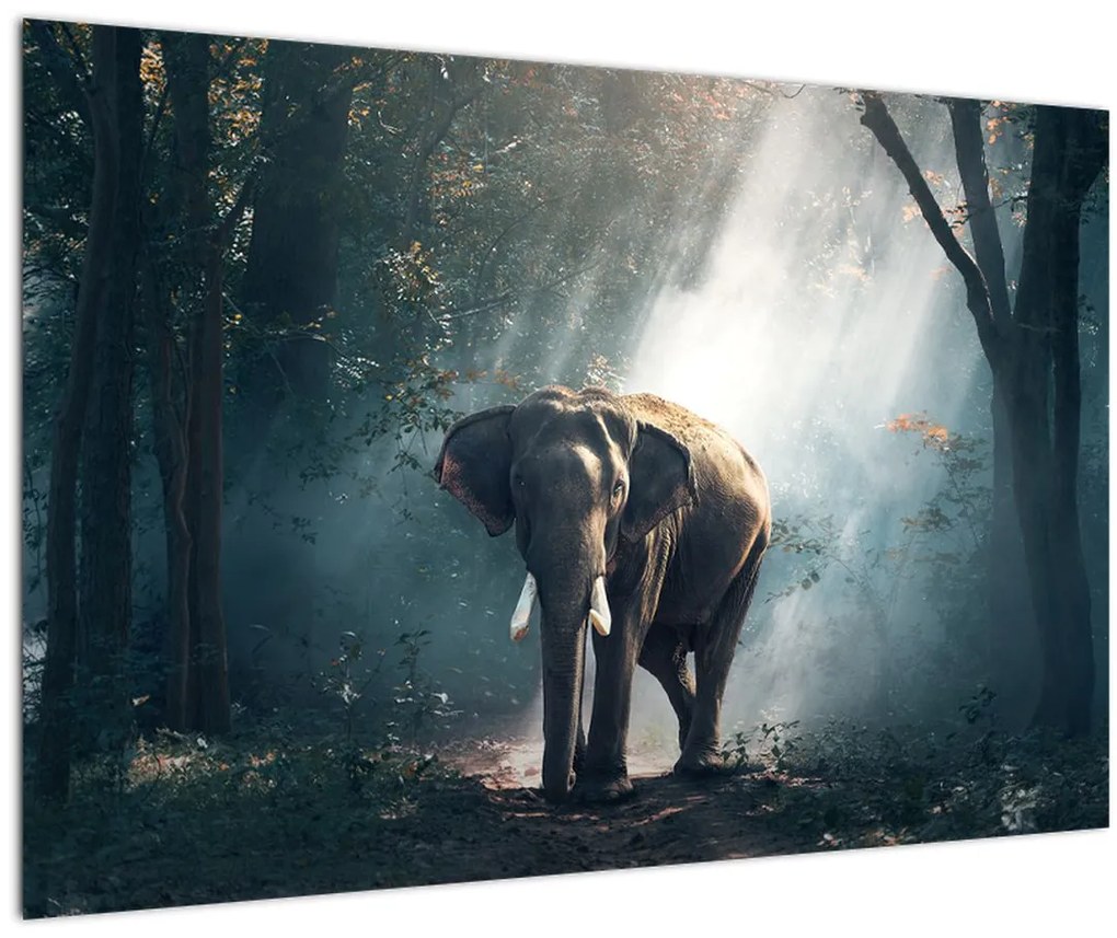 Tablou cu elefant în djunglă (90x60 cm)