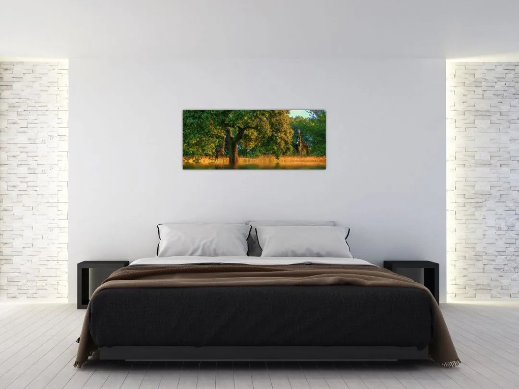 Tablou cu girafe în natură (120x50 cm)
