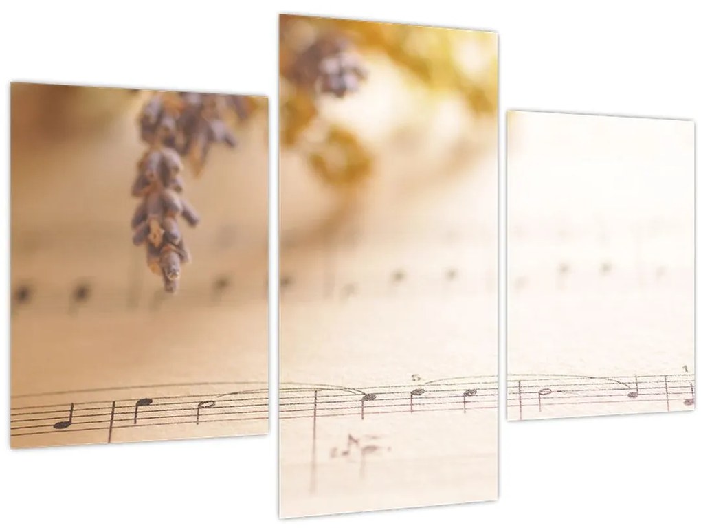 Tablou - Cântec (90x60 cm)