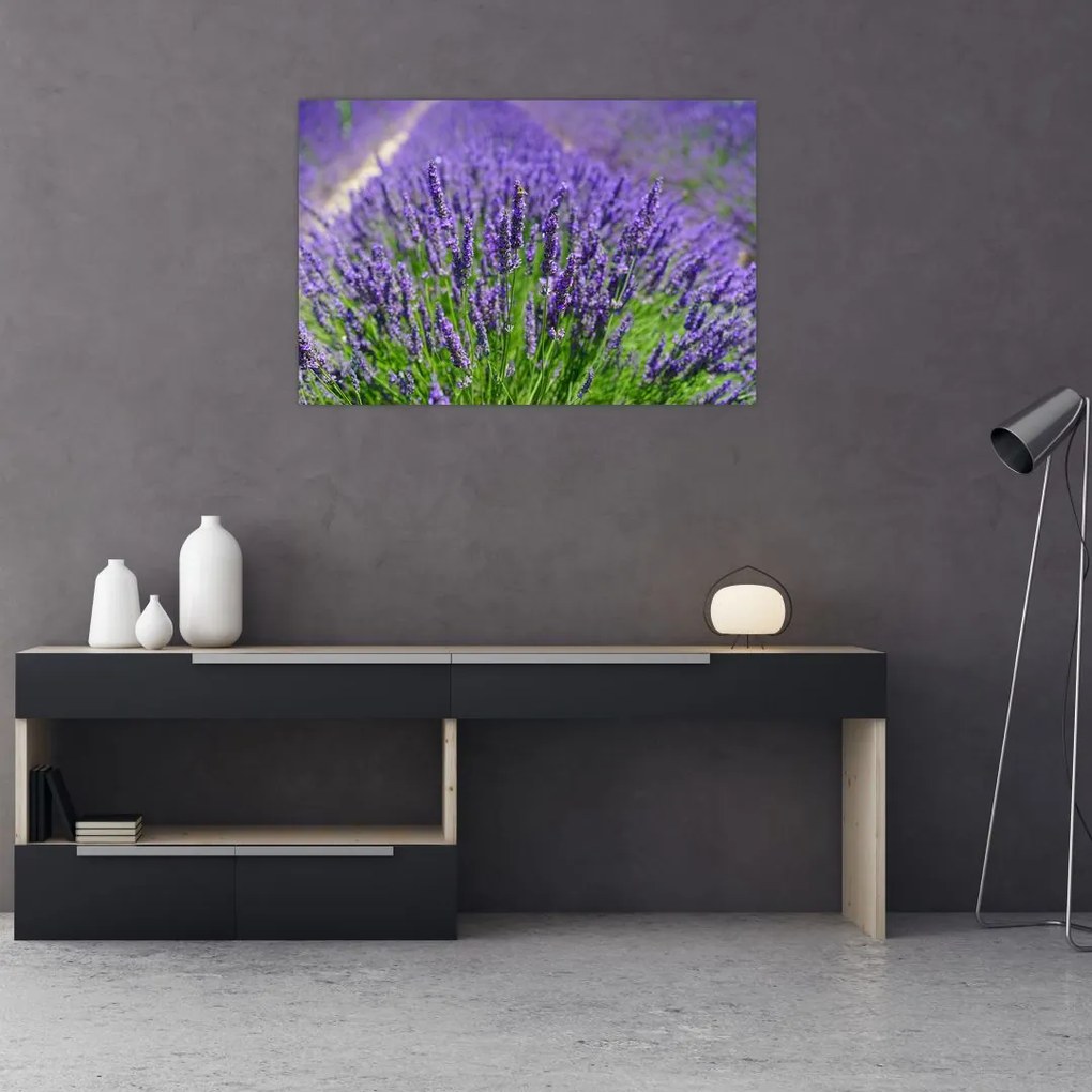 Tablou - lavanda (90x60 cm)