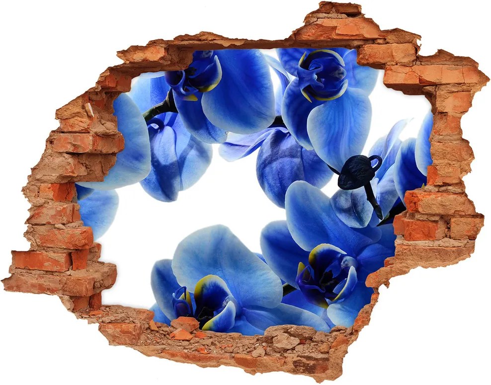 Autocolant gaură 3D Albastru orhidee
