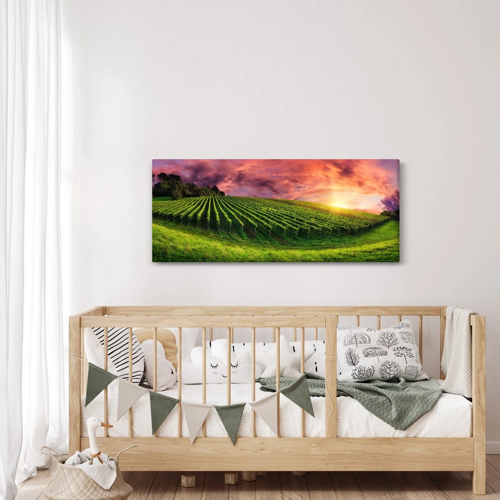 Tablou cu vie cu cerul color (120x50 cm)