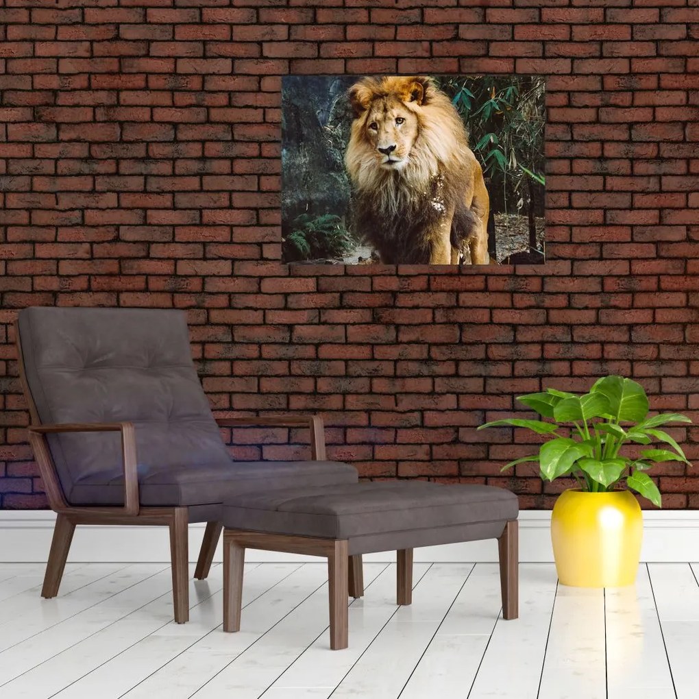 Tablou pe sticlă cu leu în natură (70x50 cm)