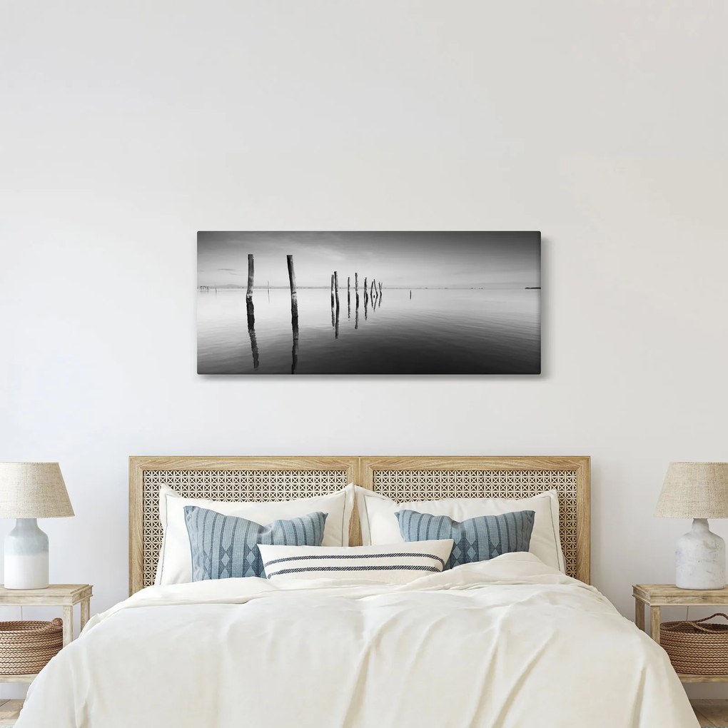 Tablou cu nivelul de lac alb negru (120x50 cm)