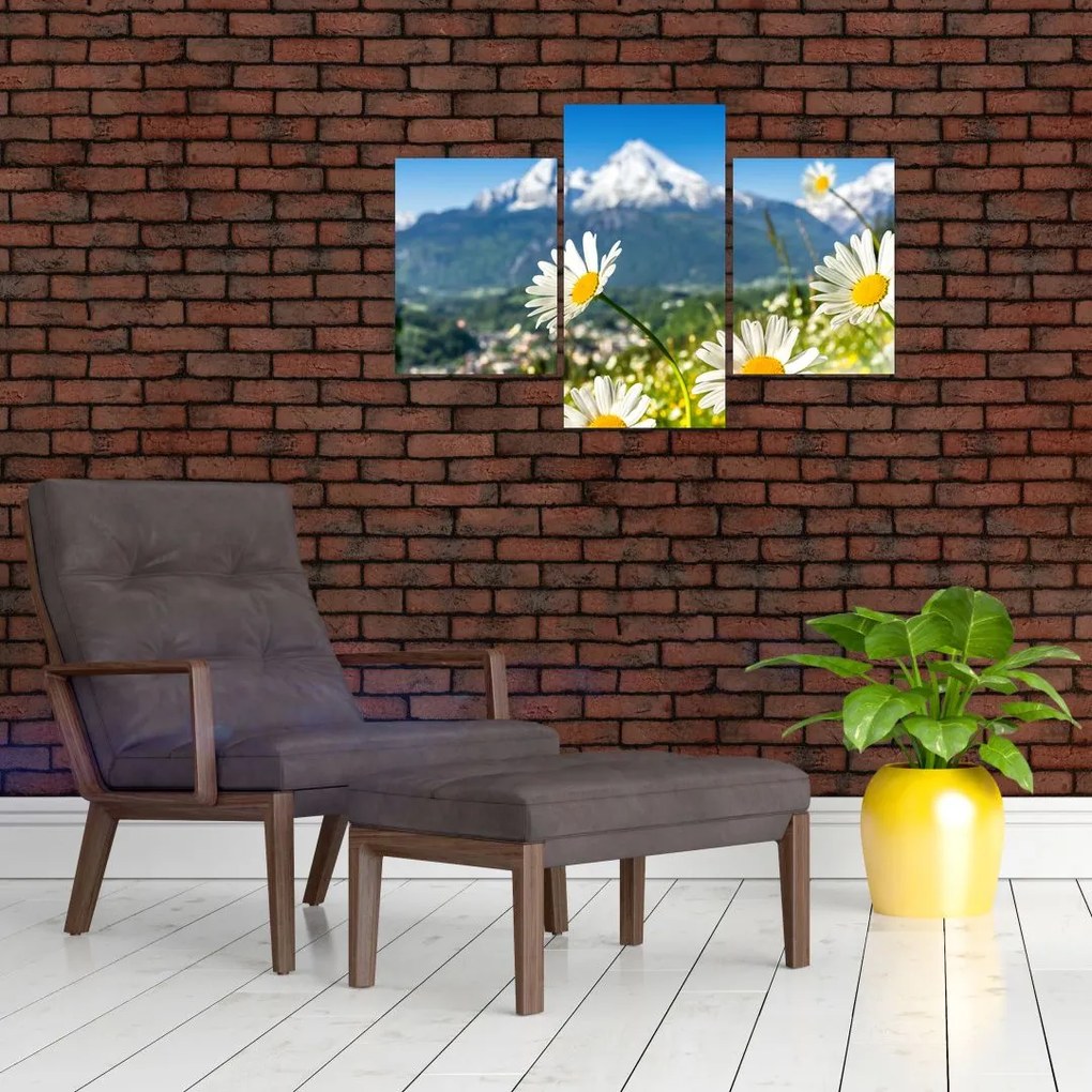 Tablou - Primăvara în Alpi (90x60 cm)