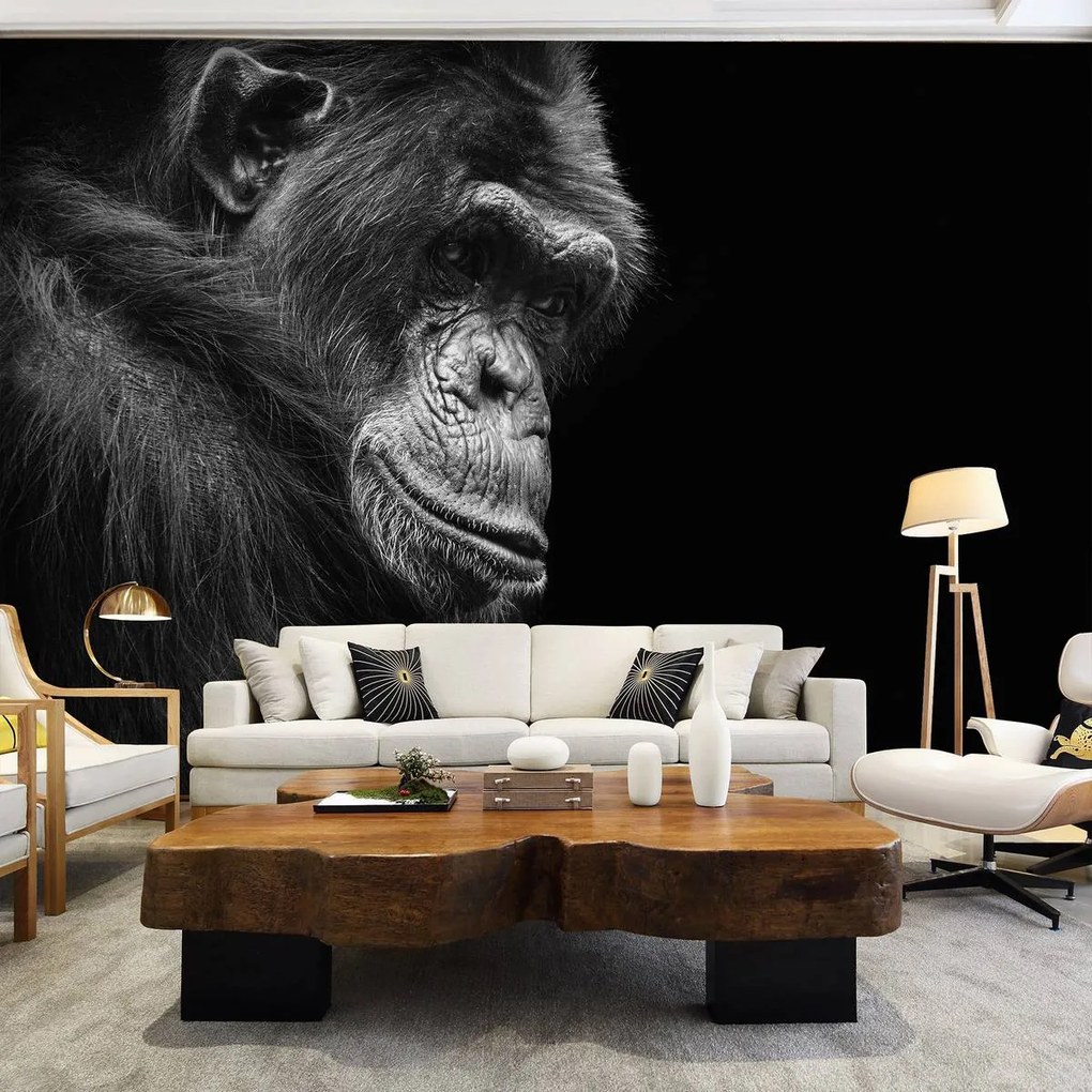 Fototapet - Gorila (254x184 cm), în 8 de alte dimensiuni noi