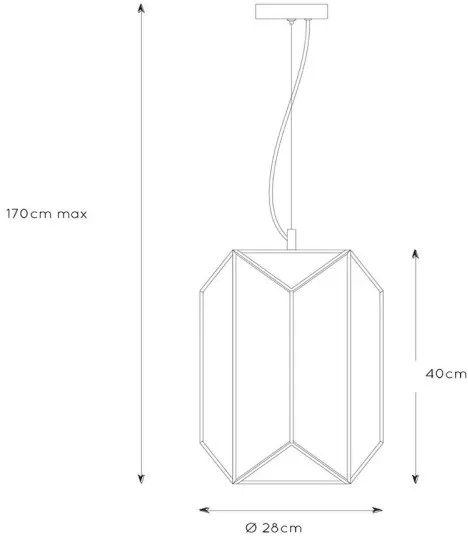 Lustră pe cablu FERN 1xE27/60W/230V Lucide 25407/01/30