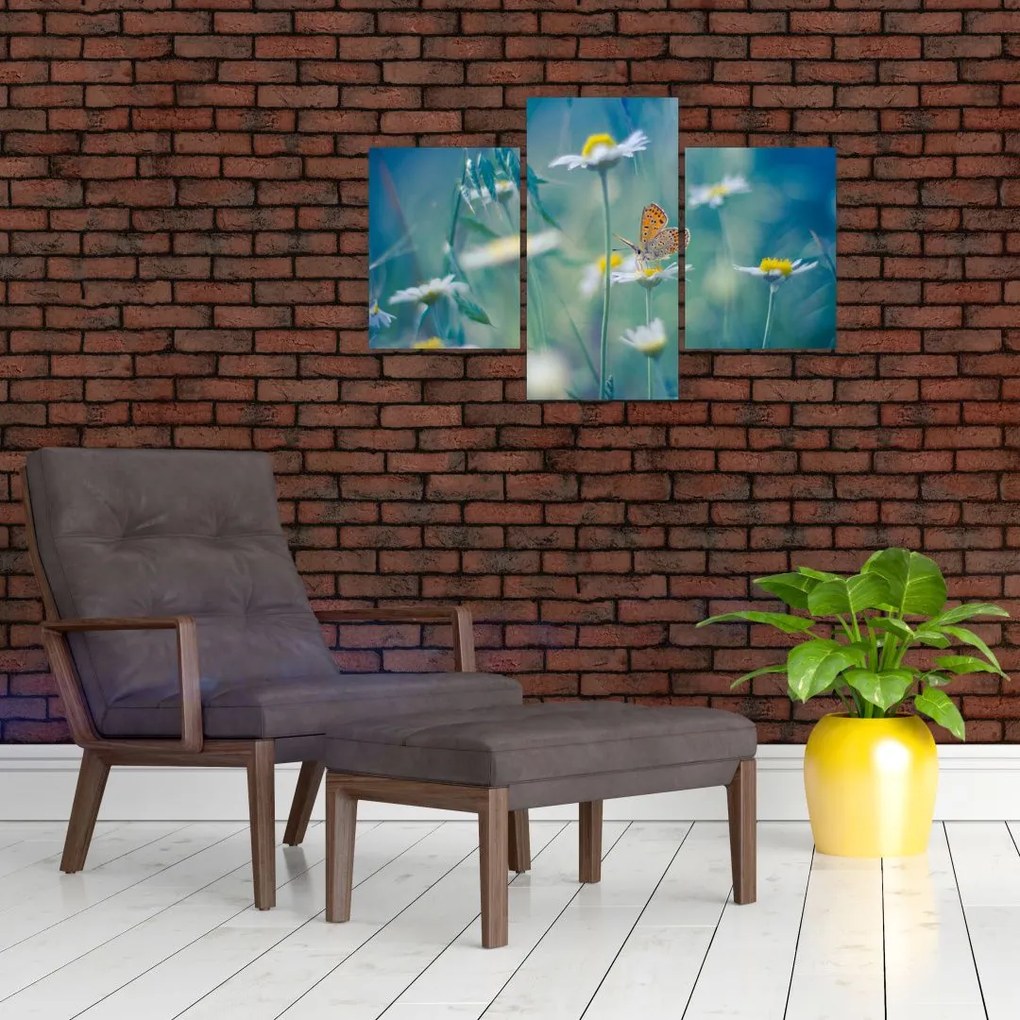 Tablou - Fluture pe margaretă (90x60 cm)