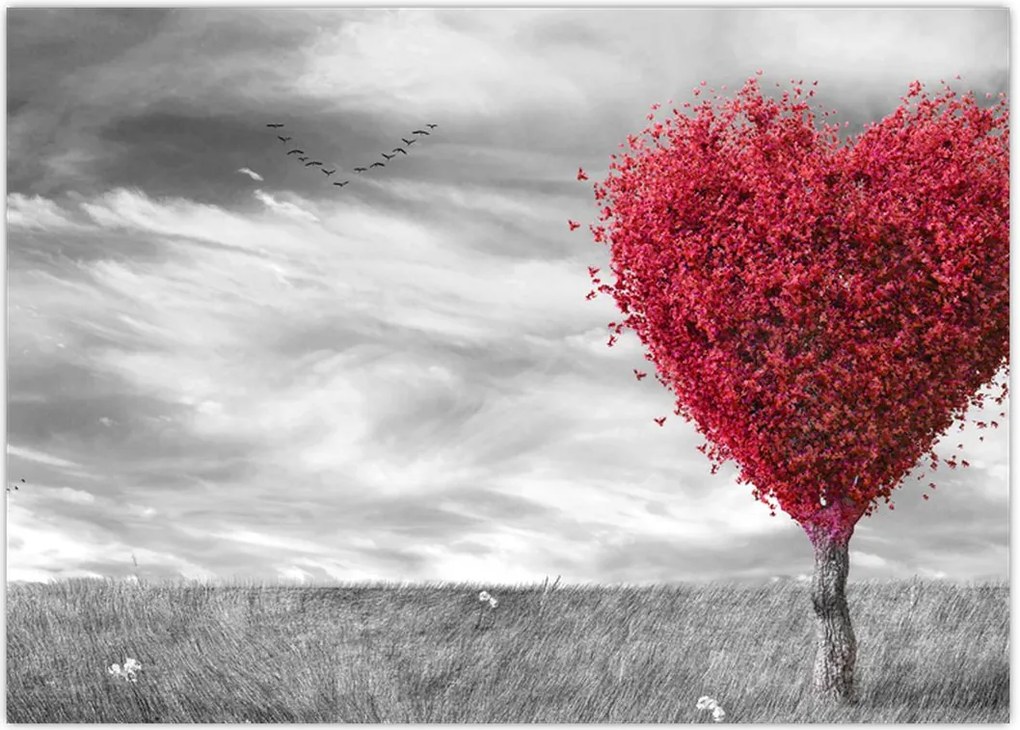 Tablou -Inima din coroanele copacilor (70x50 cm)
