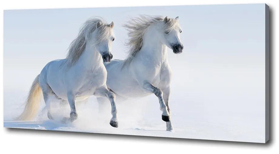 Tablou pe pânză canvas Doi cai în zăpadă