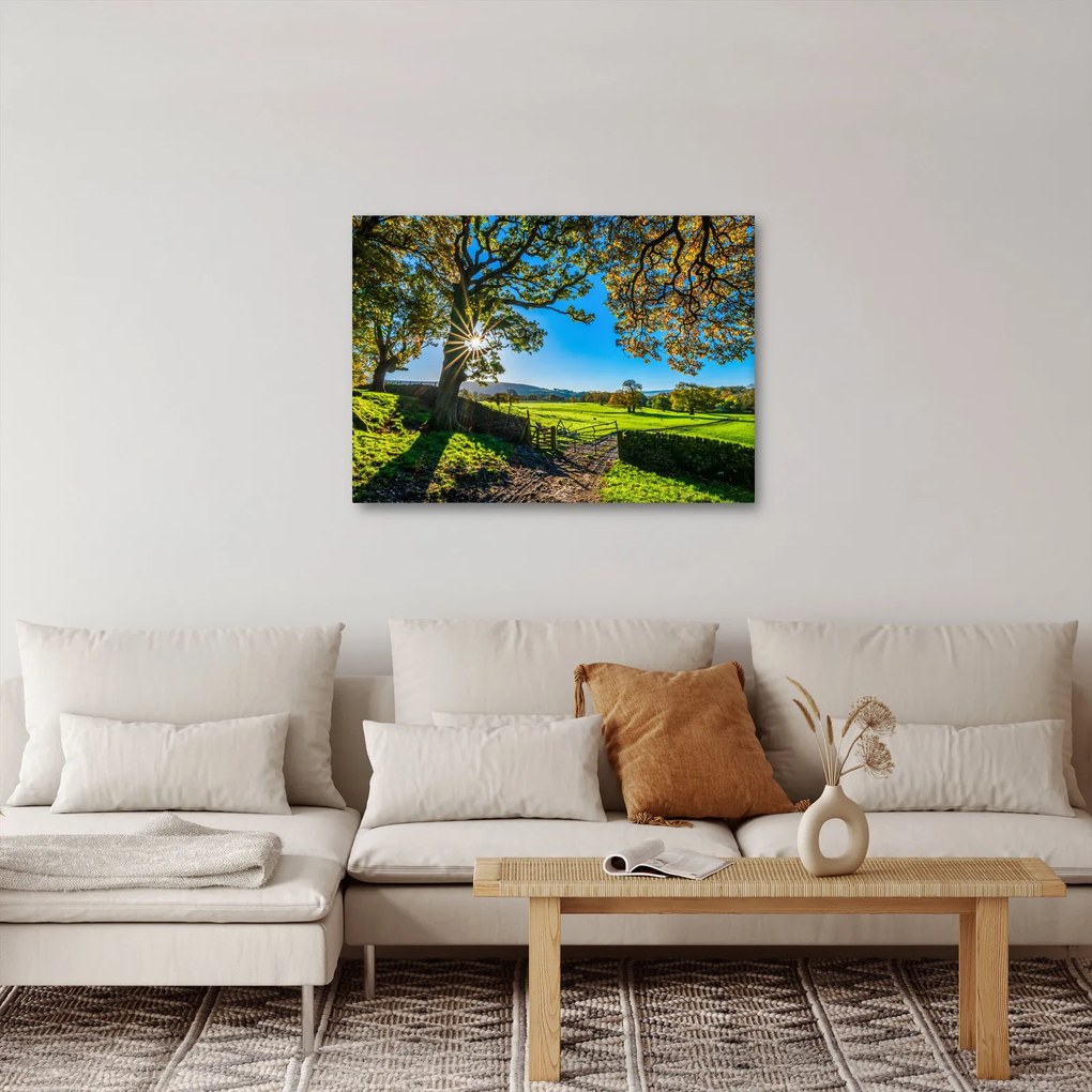 Tablou Privire la câmp (70x50 cm)
