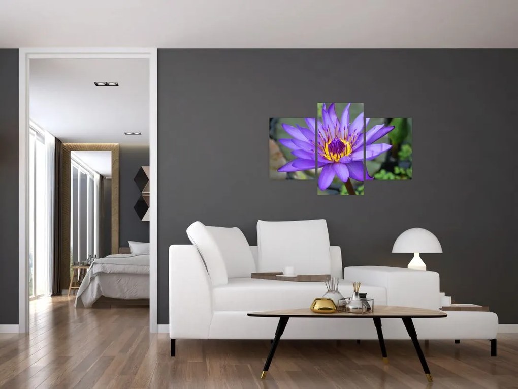 Tablou - Floare violet (90x60 cm)