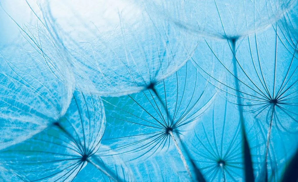 Fototapet - Arta abstractă (152,5x104 cm)