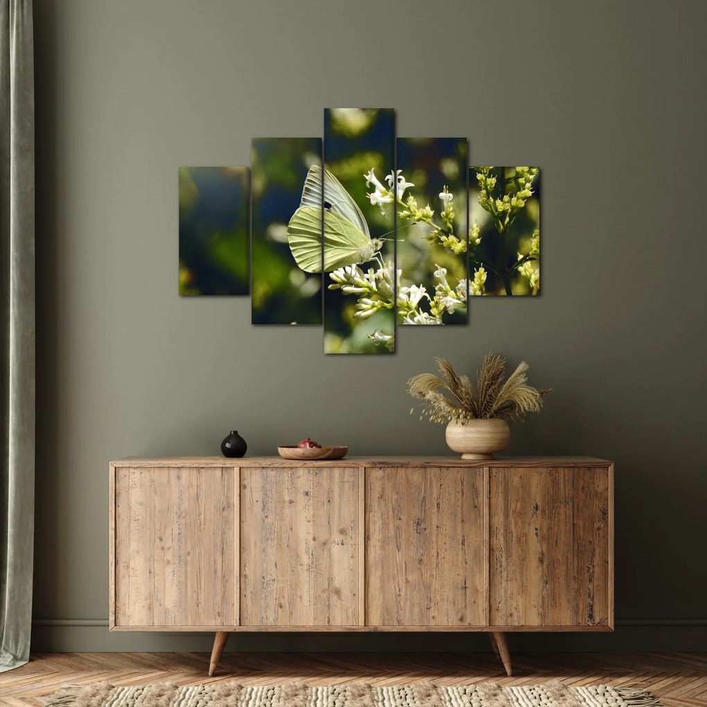 Tablou cu fluture (150x105 cm)