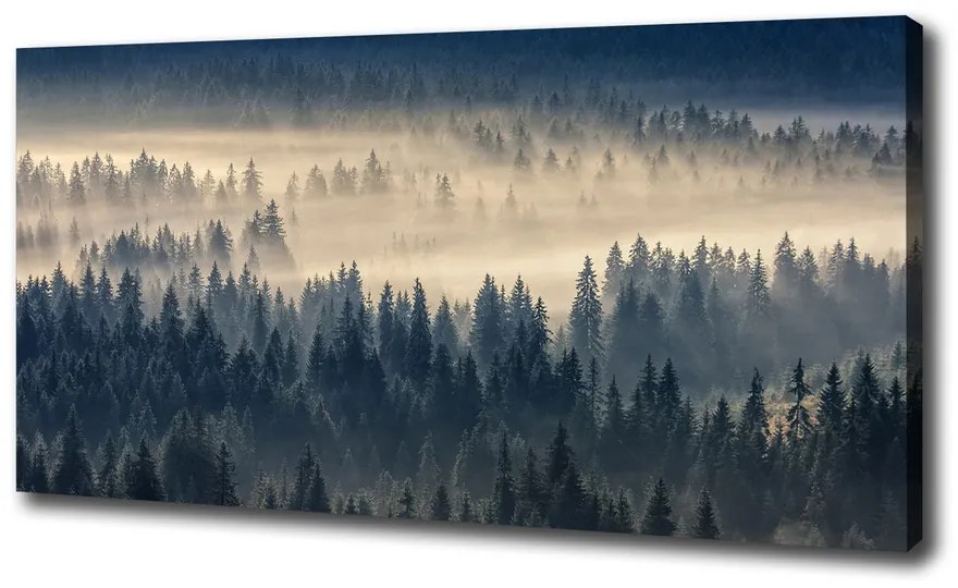 Print pe pânză Ceață peste pădure