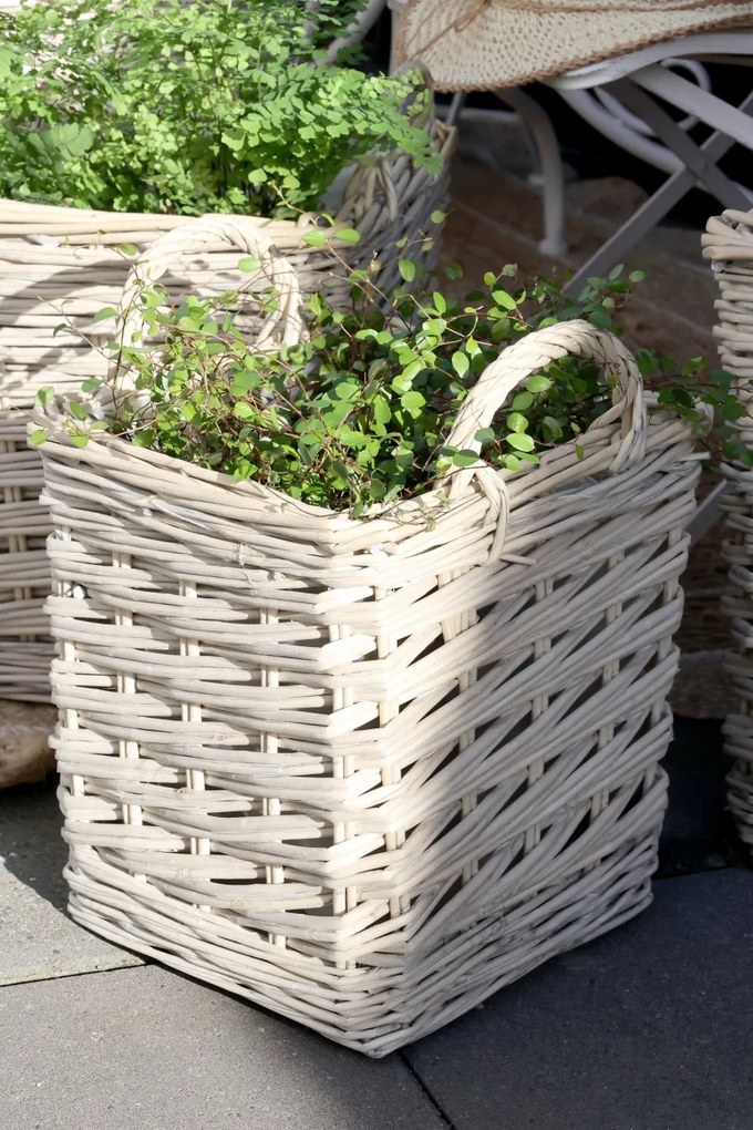 Set 3 Ghivece French Basket, Kalathi