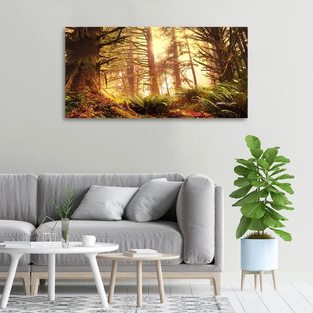 Tablou canvas Pădurea tropicală