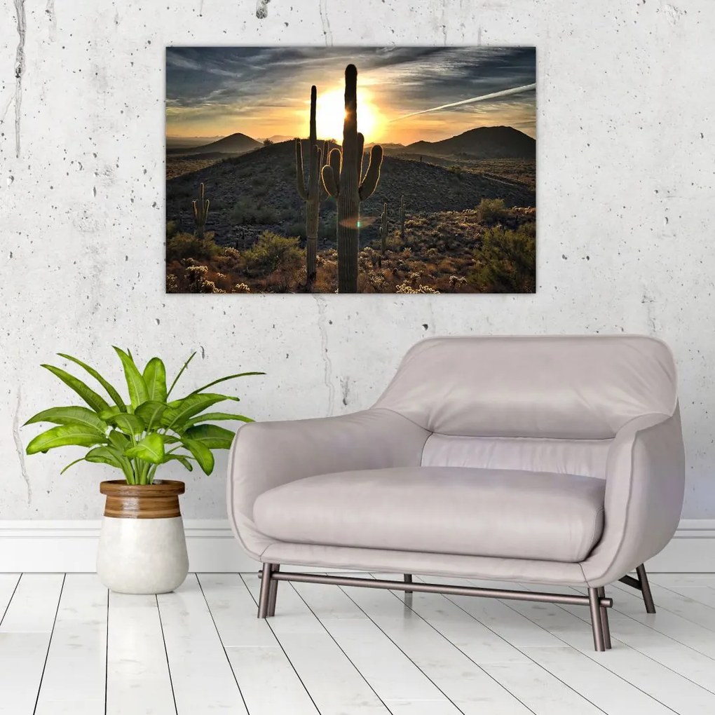 Tablou - cactușii la soare (90x60 cm)