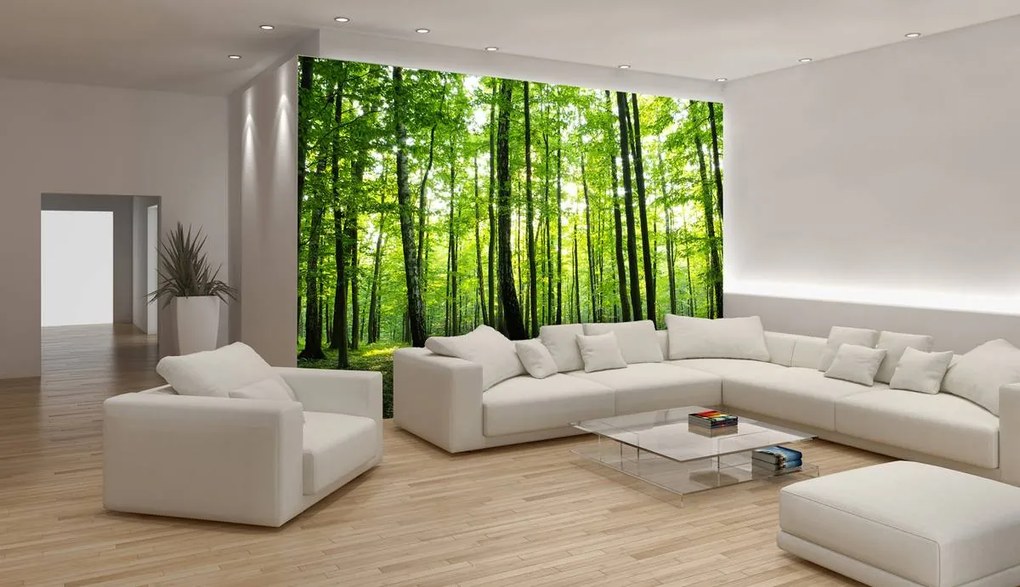 Fototapet - Pădurea verde (152,5x104 cm)