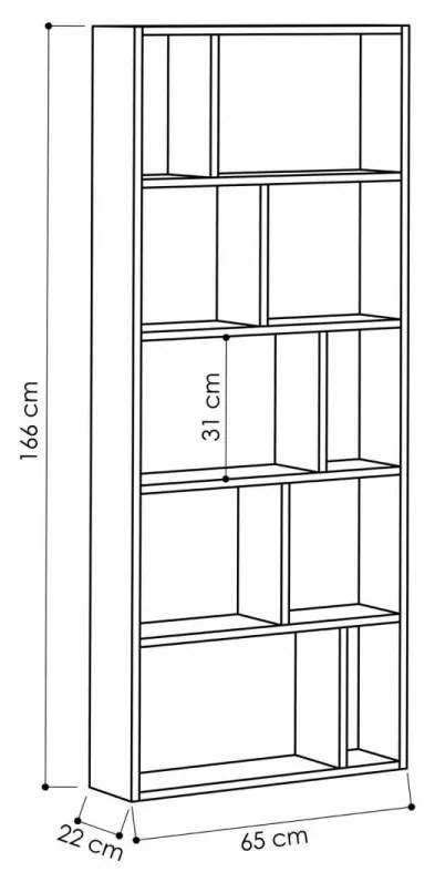 Biblioteca Onda, Antracit