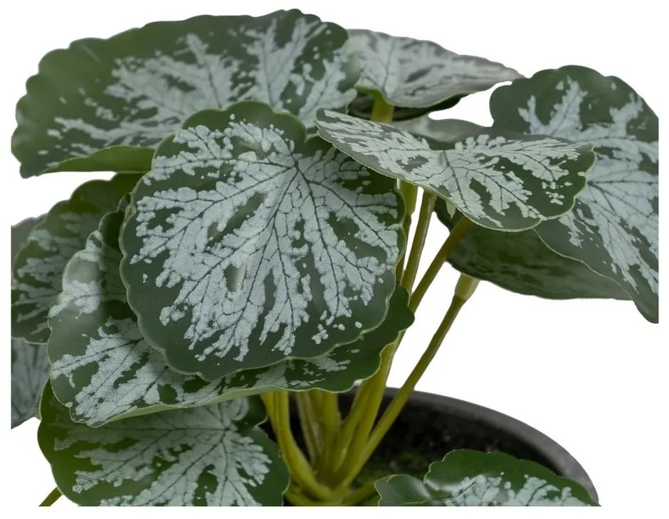 Plantă artificială (înălțime 21,5 cm) Saxifraga – Ixia