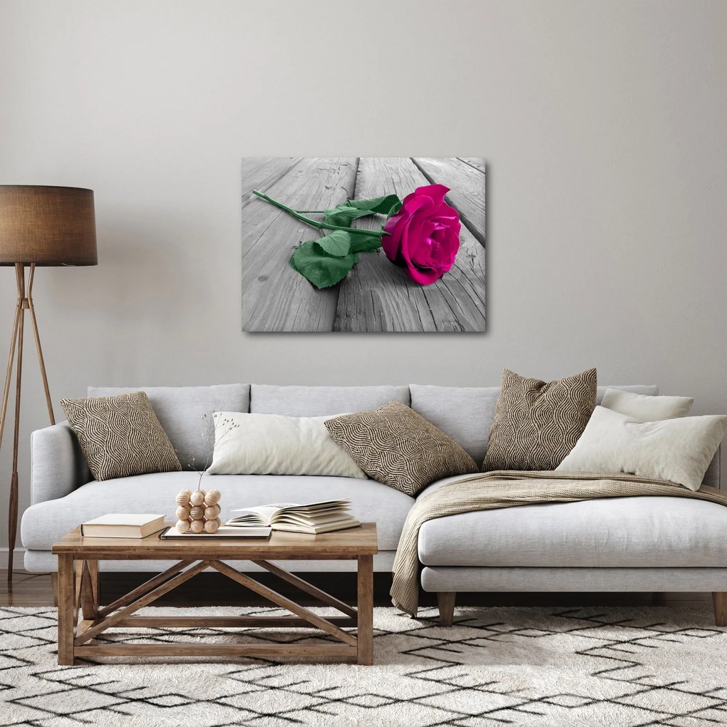 Tablou - Trandafir roz cu tulpina verde (70x50 cm)