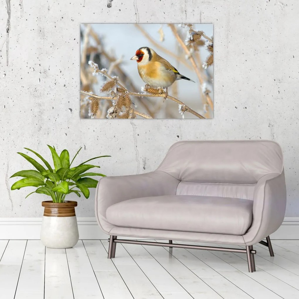 Tablou - Ciredeaua (70x50 cm)