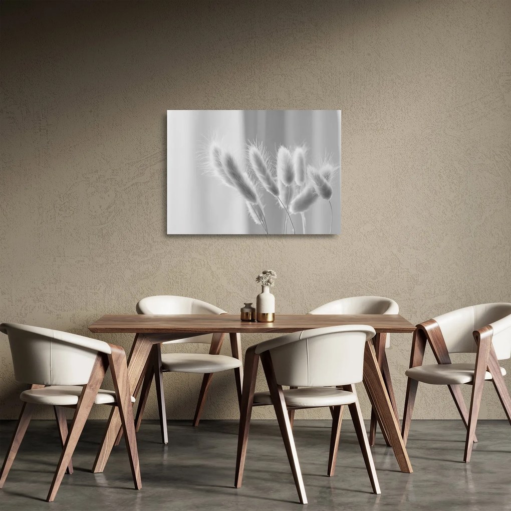 Tablou pe sticlă - Iarbă de coadă de iepure (70x50 cm)