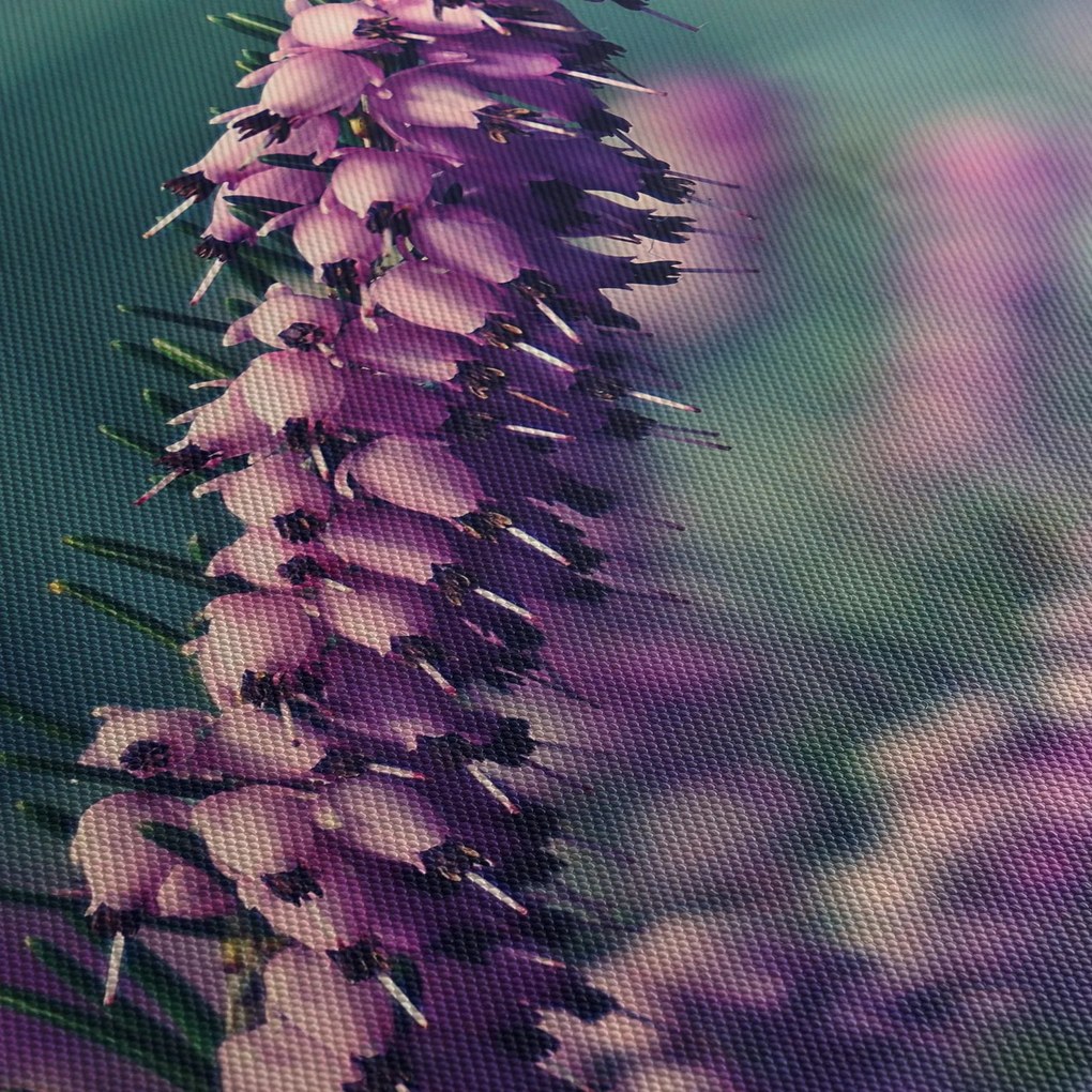 Tablou cu floare violetă (120x50 cm)