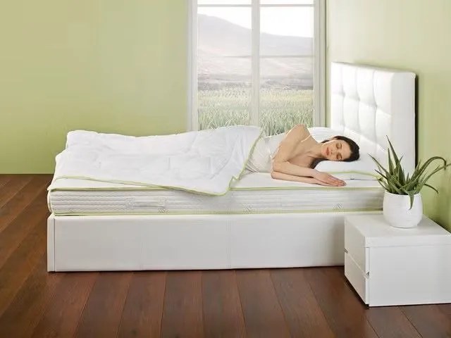 2xDORMEO PILOTĂ DUBLĂ ALOE VERA 200X200